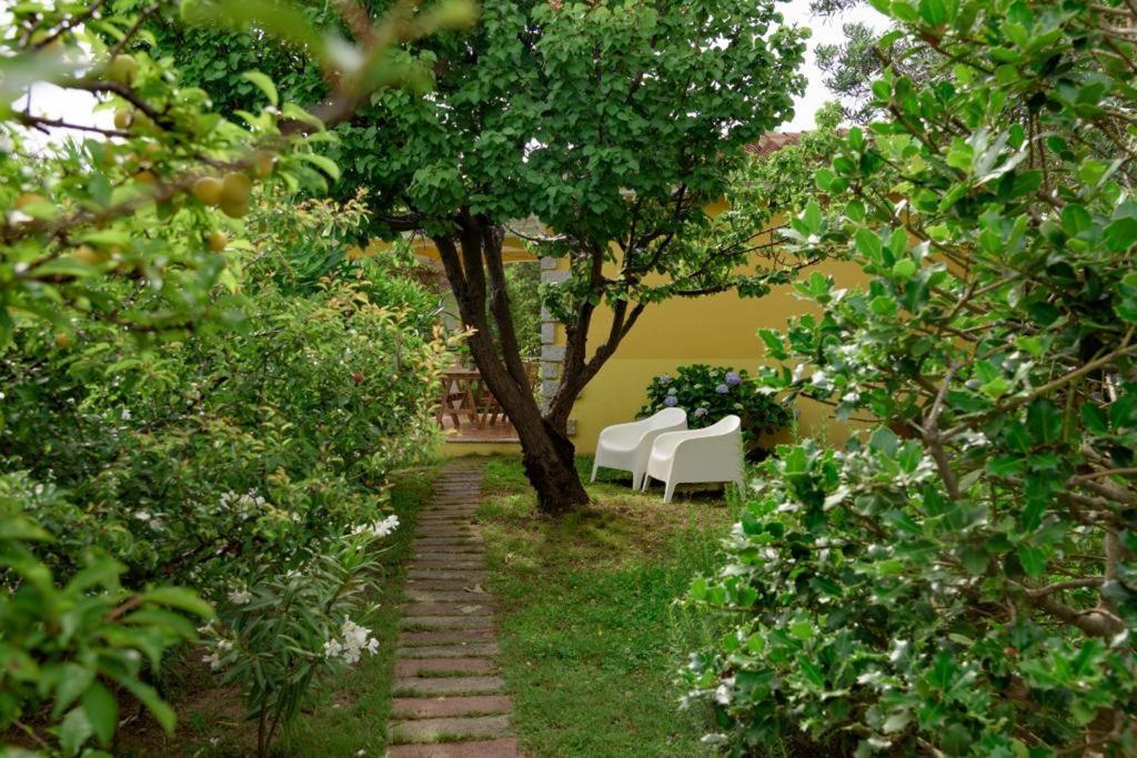 Residence Agrifoglio 몬테 페트로수 외부 사진